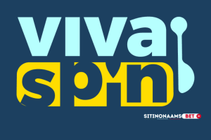 Viva Spin Casino
